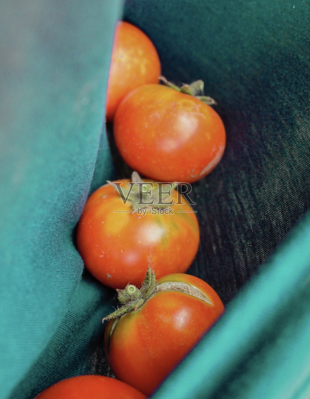 新鲜的西红柿在绿松石背景照片摄影图片