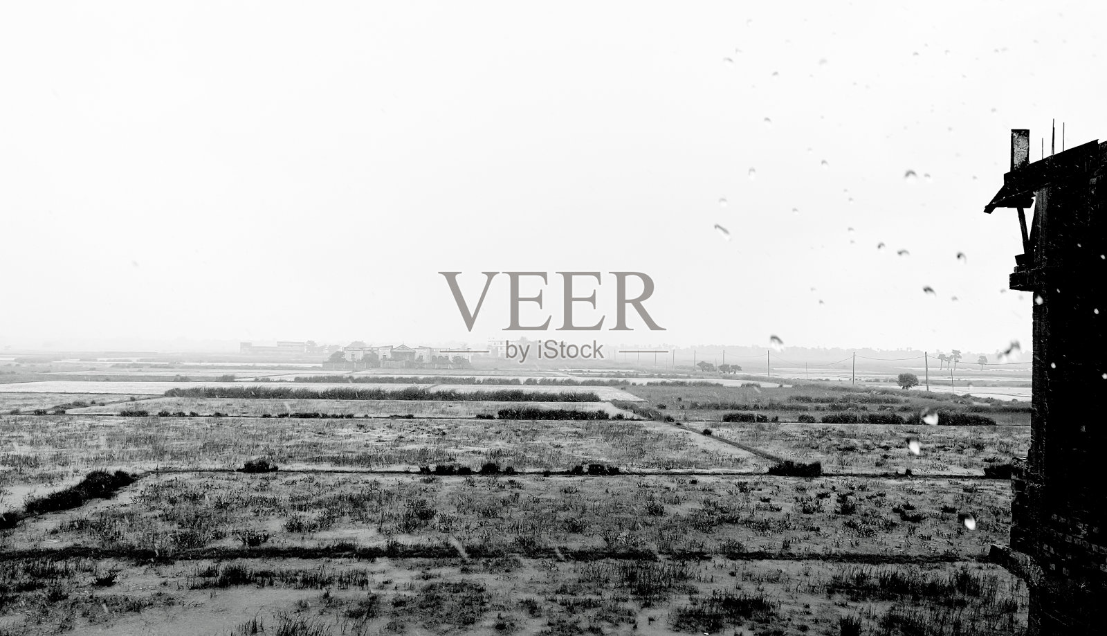 雨照片摄影图片