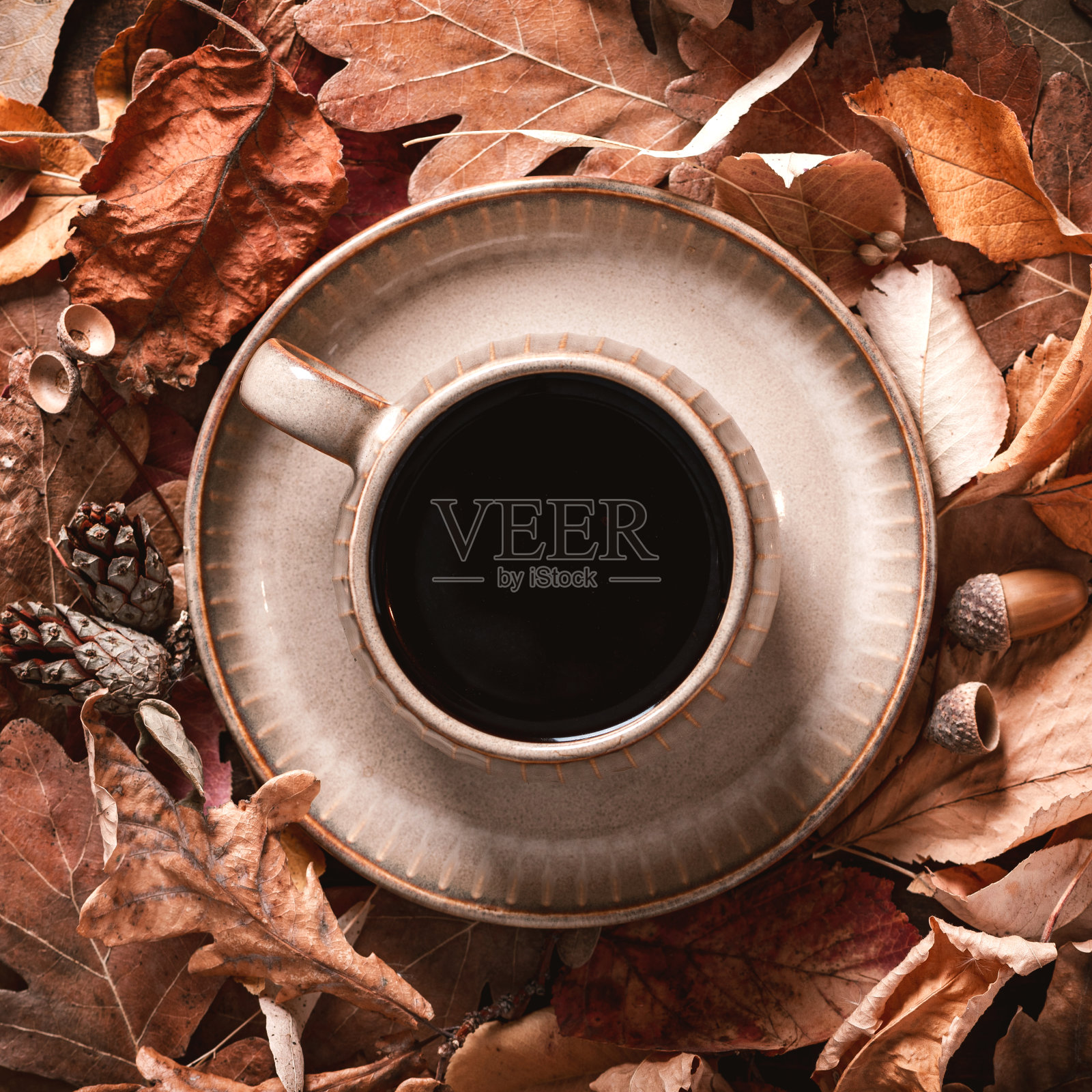 浓缩咖啡和落叶照片摄影图片
