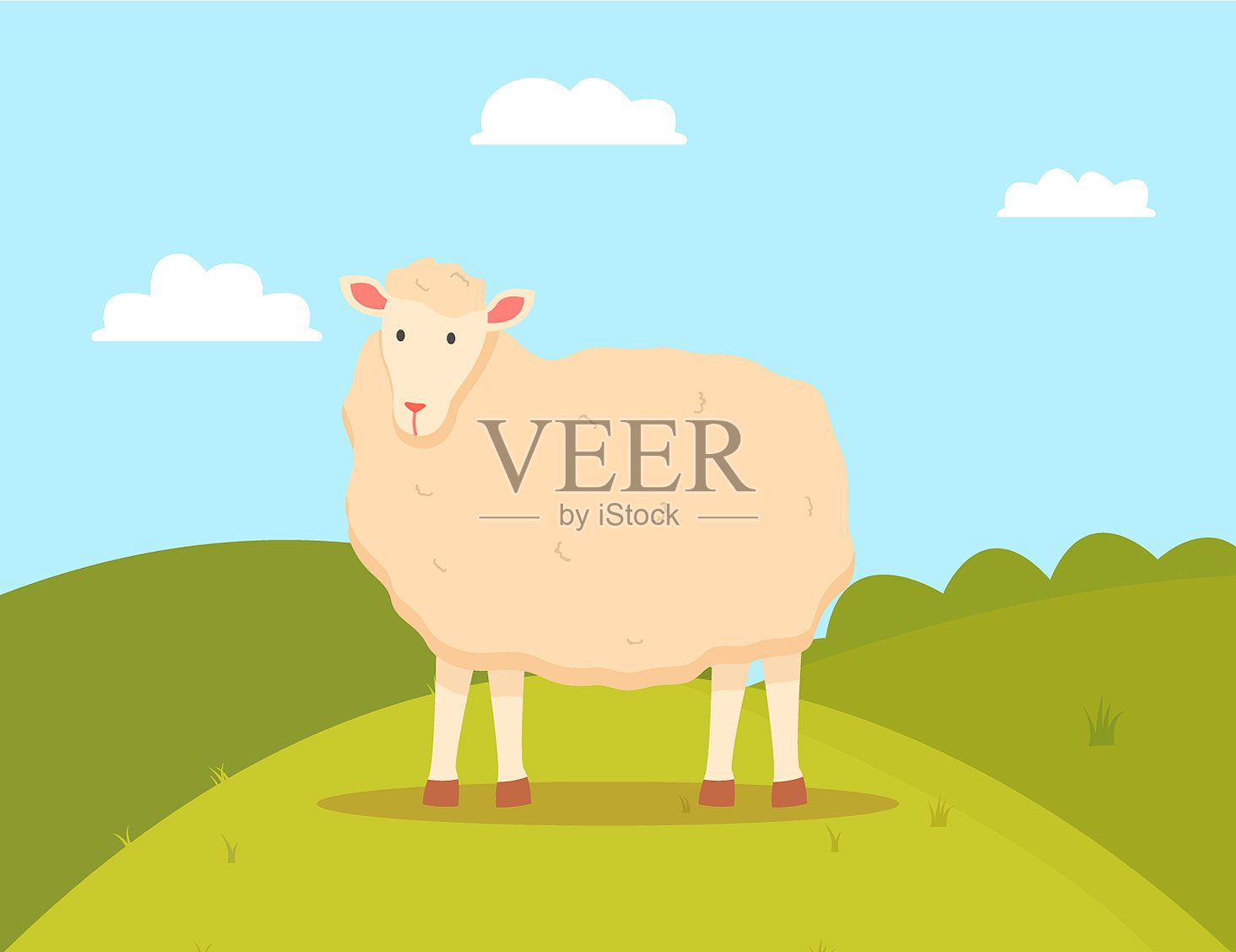 小羊，家畜反刍动物，羊肉插画图片素材