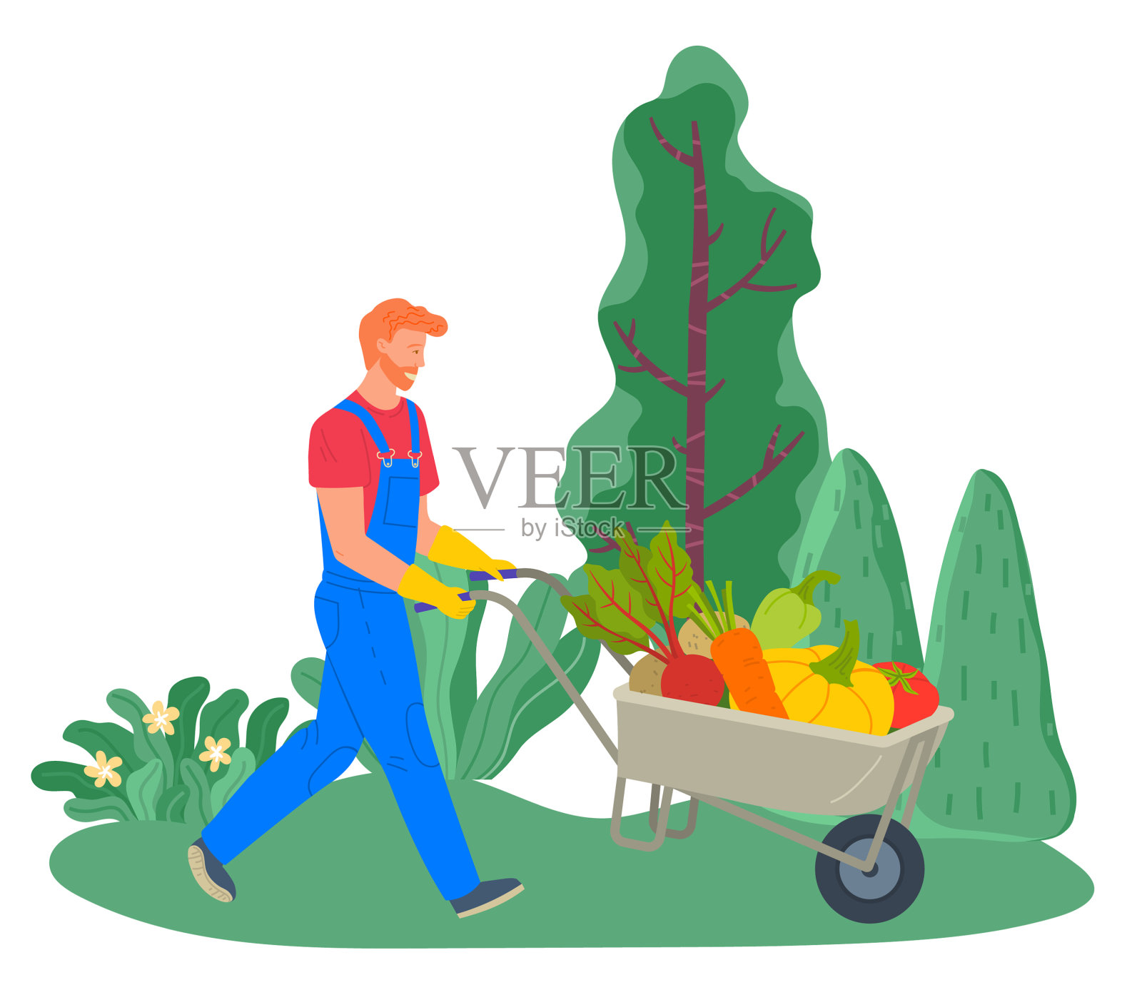 农民在田间收割，运输蔬菜设计元素图片