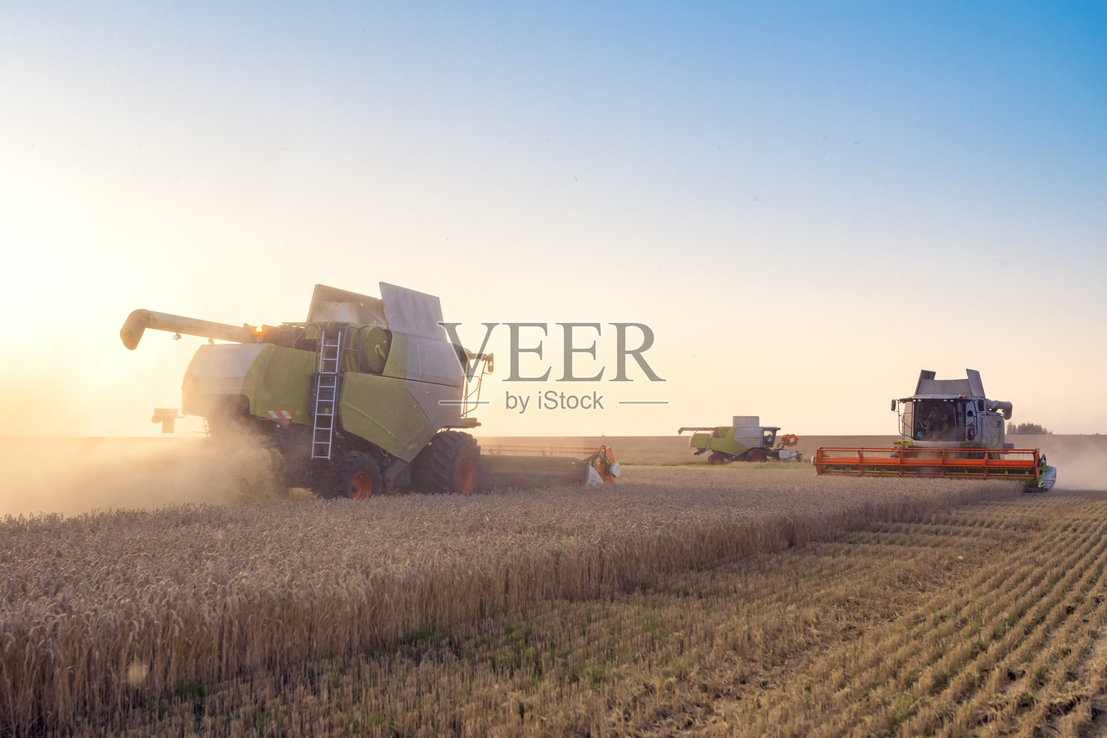 联合收割机收获成熟的小麦。成熟的耳朵，金色的田野上，晚霞多云的橙色天空的背景。丰收的概念。农业的形象照片摄影图片