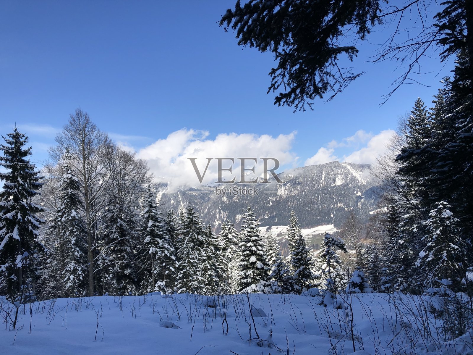 在山里远足照片摄影图片