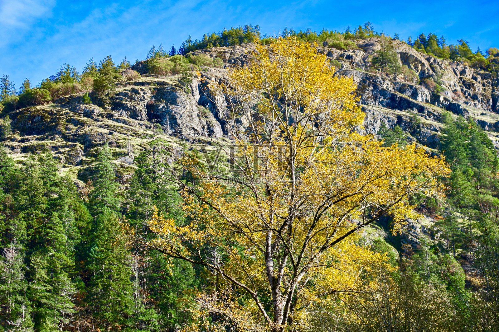 秋天的氛围照片摄影图片