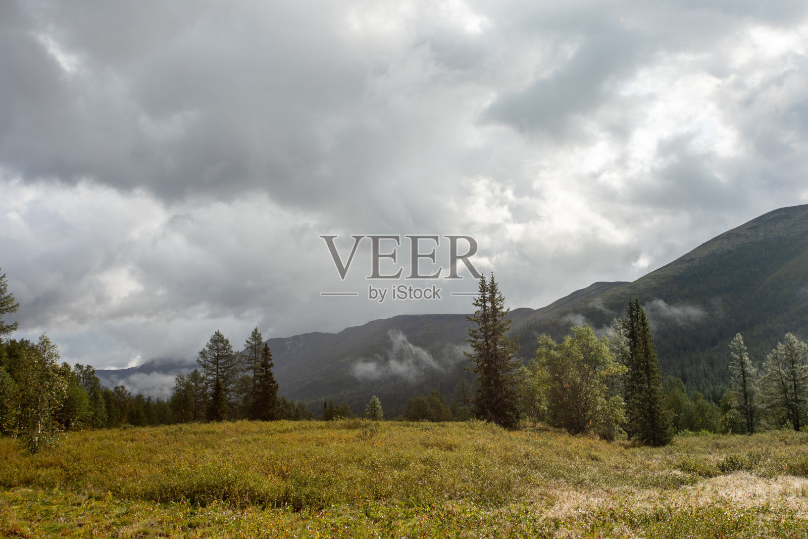 令人惊叹的山地景观与多彩的天空。旅行和徒步旅行的概念。亚极地乌拉尔山脉。照片摄影图片