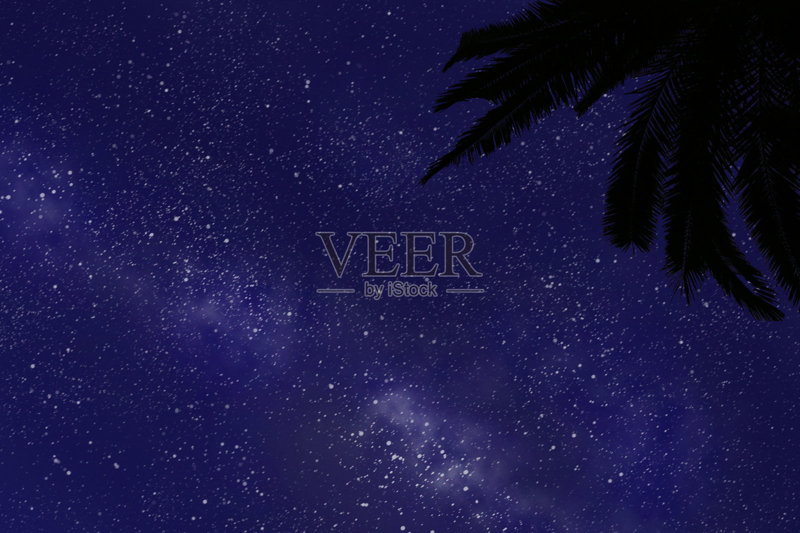 美丽的云景与棕榈树照片摄影图片