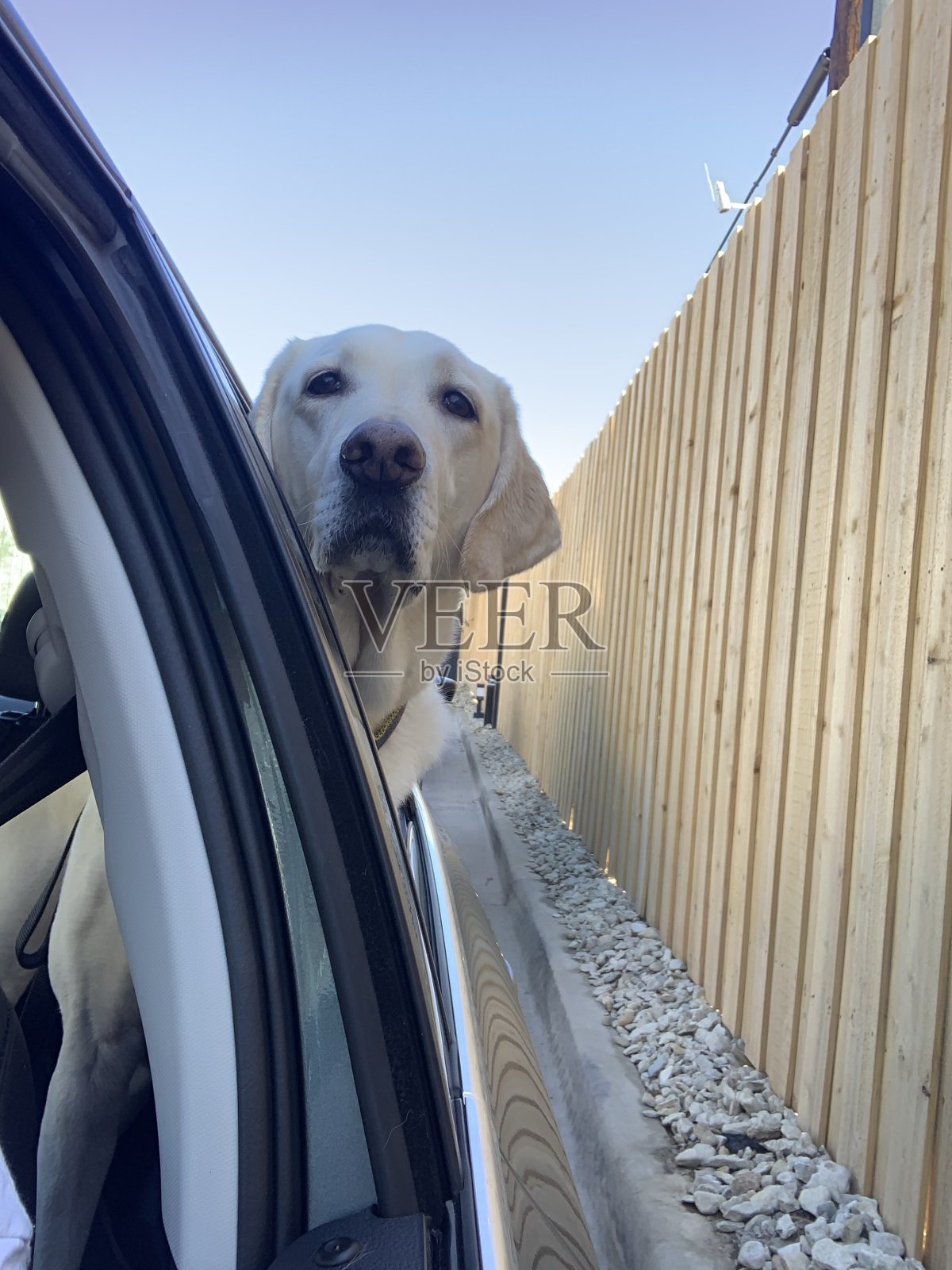 杂项照片摄影图片