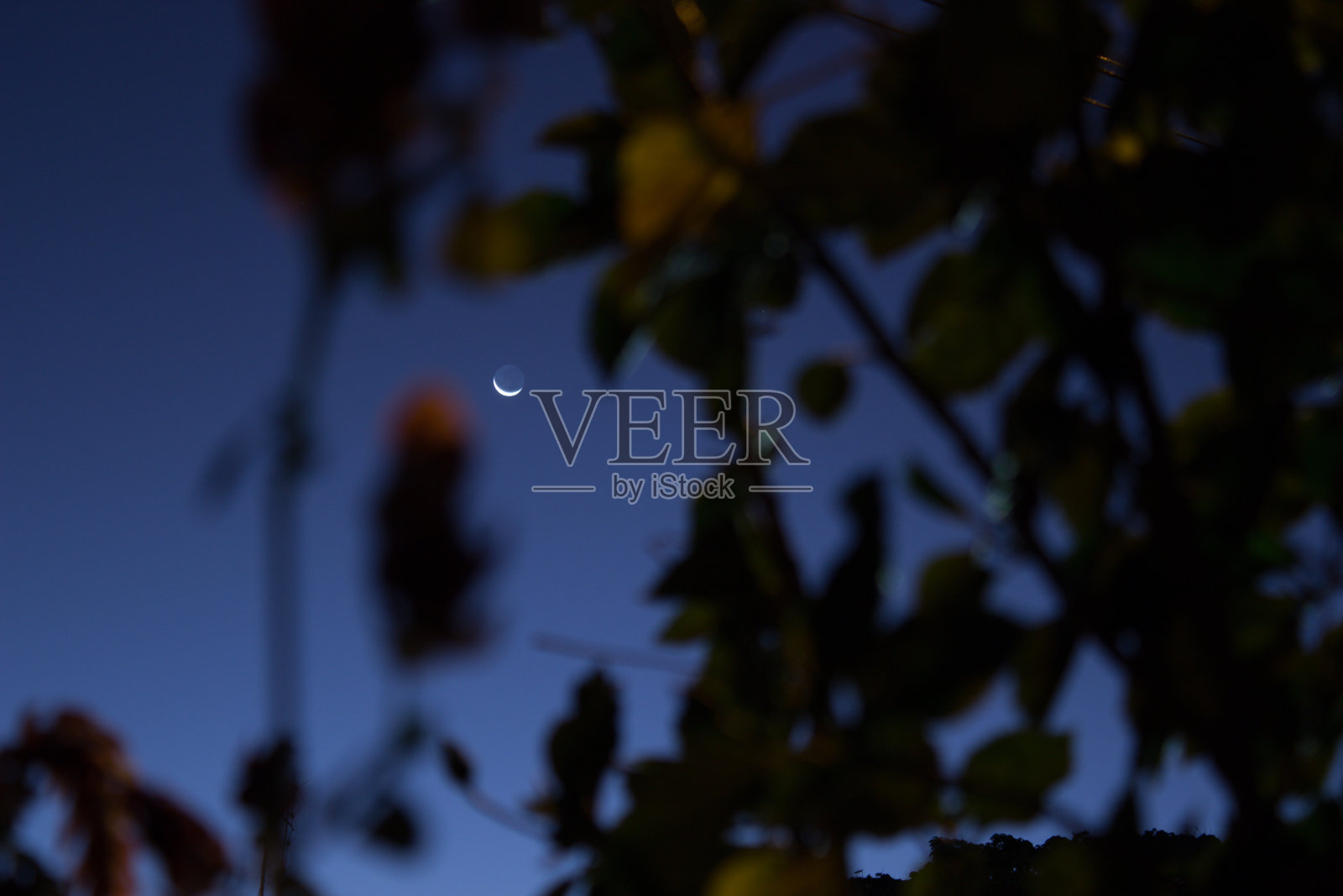 月亮照片摄影图片