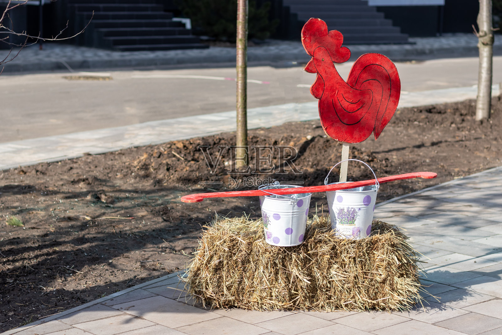 在一个乡村度假中，两个涂着白色漆的金属锡桶，上面有紫色的圆圈，上面有红色的摇杆和木头公鸡站在草堆上，背景模糊照片摄影图片