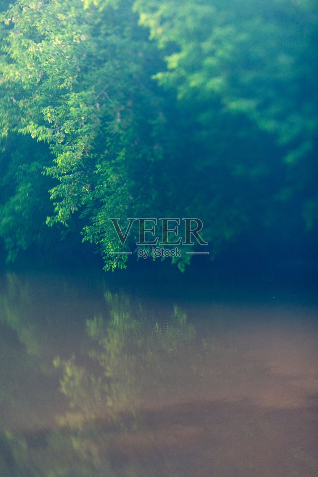 绿叶倒映在水中照片摄影图片