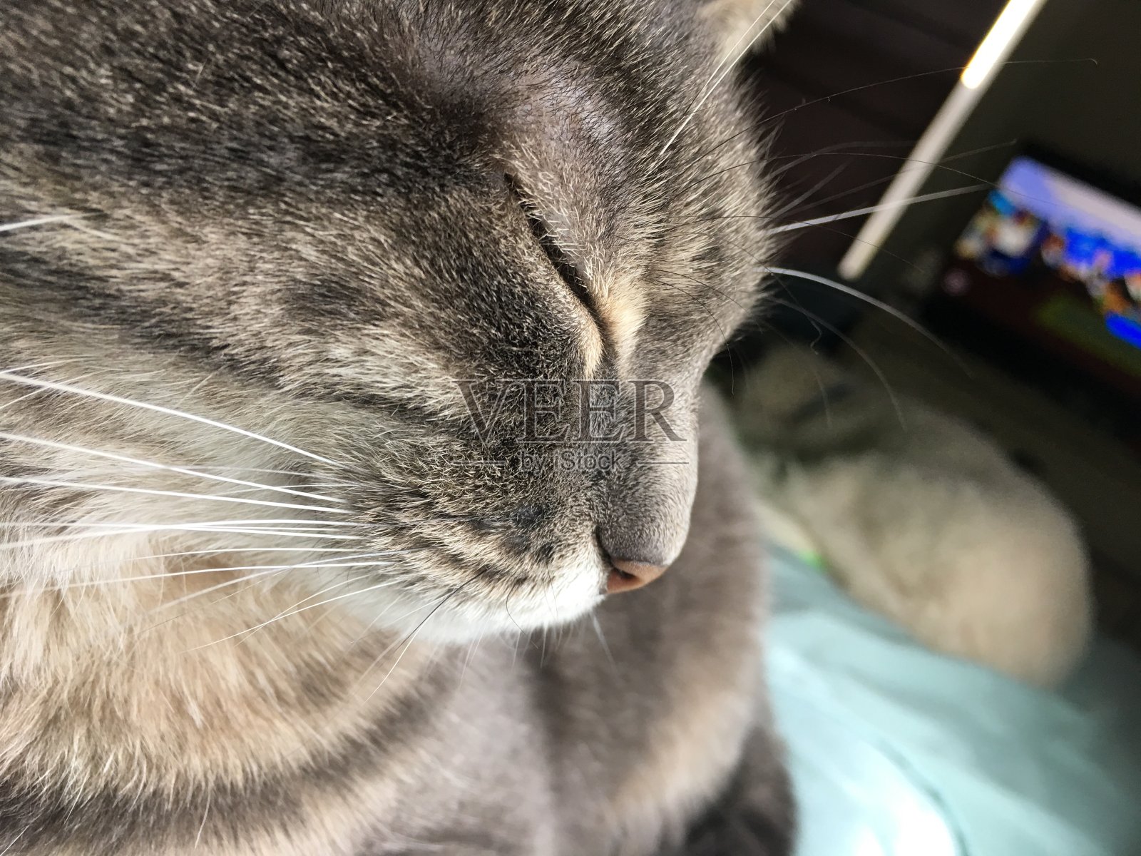 日常生活照片摄影图片