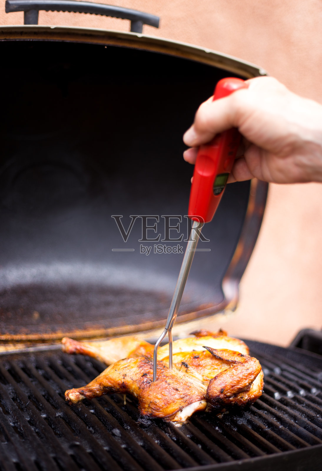 将肉温度计放入烤蝴蝶鸡/烤鸡中照片摄影图片