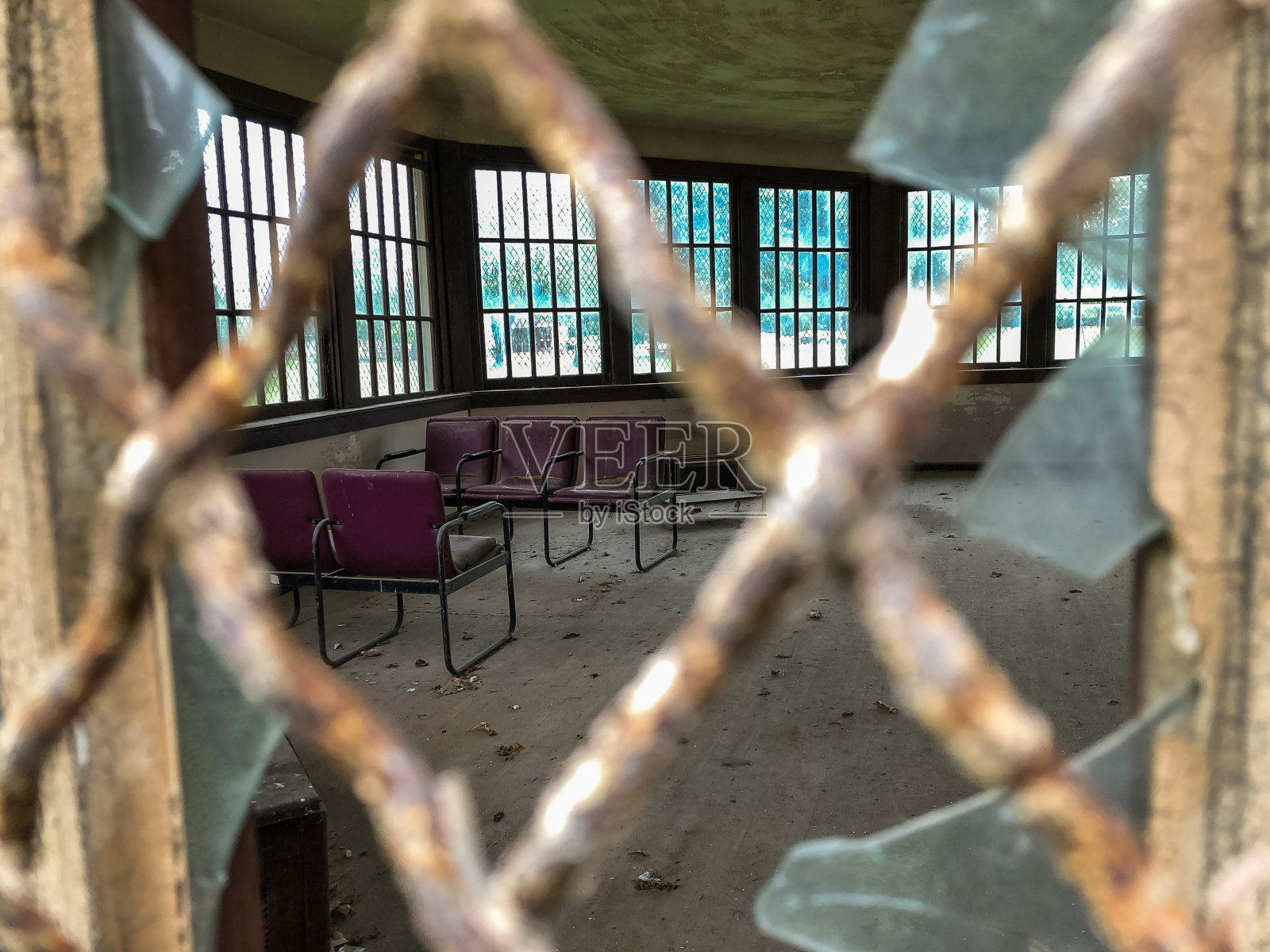 华盛顿照片摄影图片