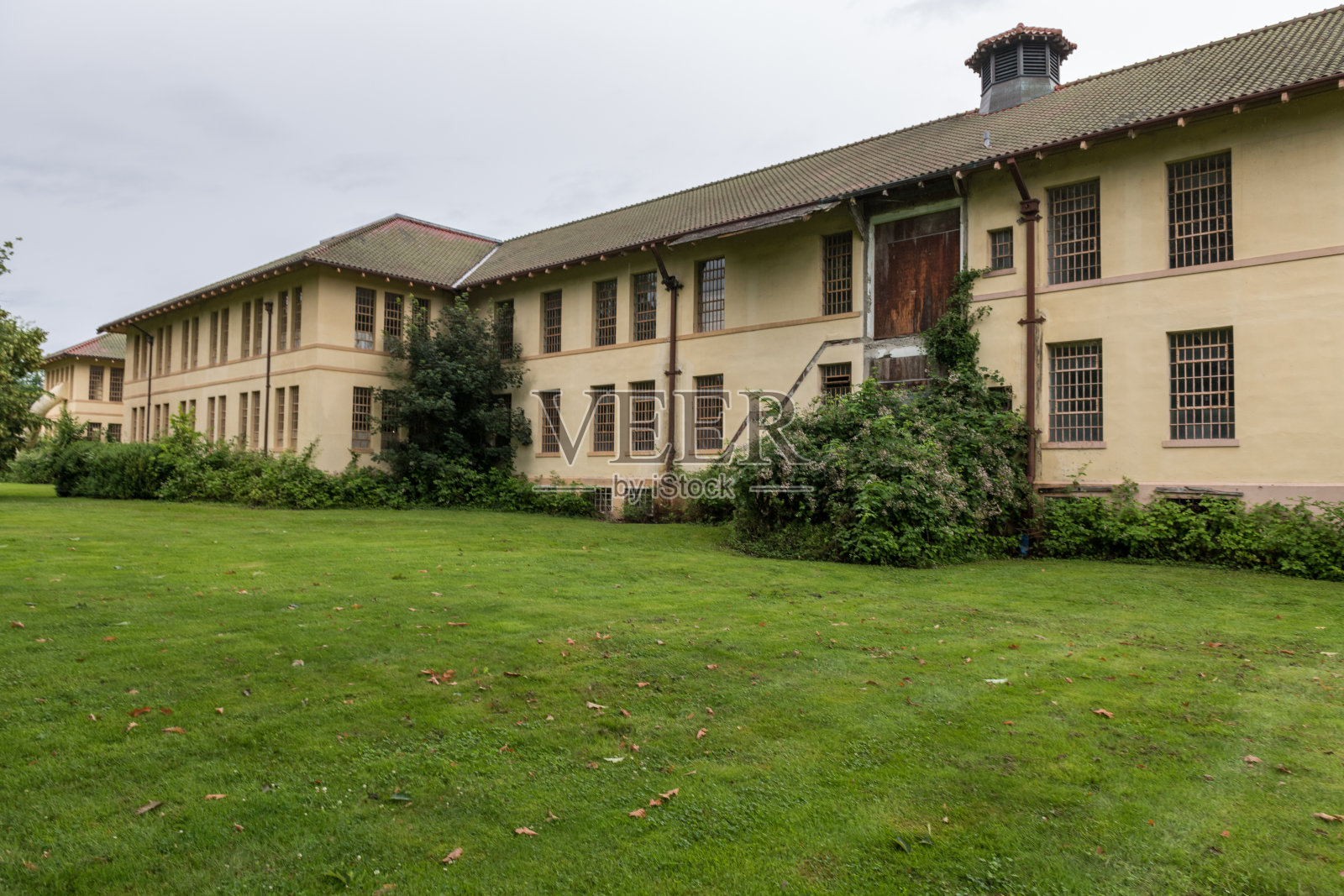 华盛顿照片摄影图片