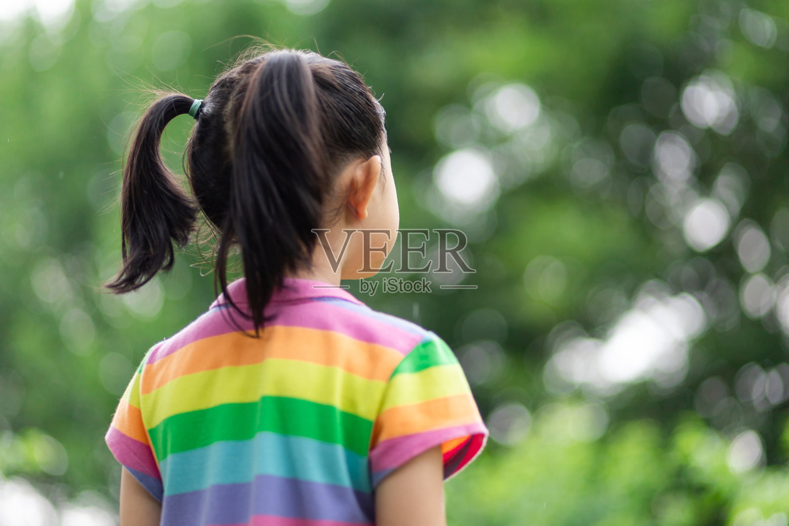 小女孩的后视图照片摄影图片