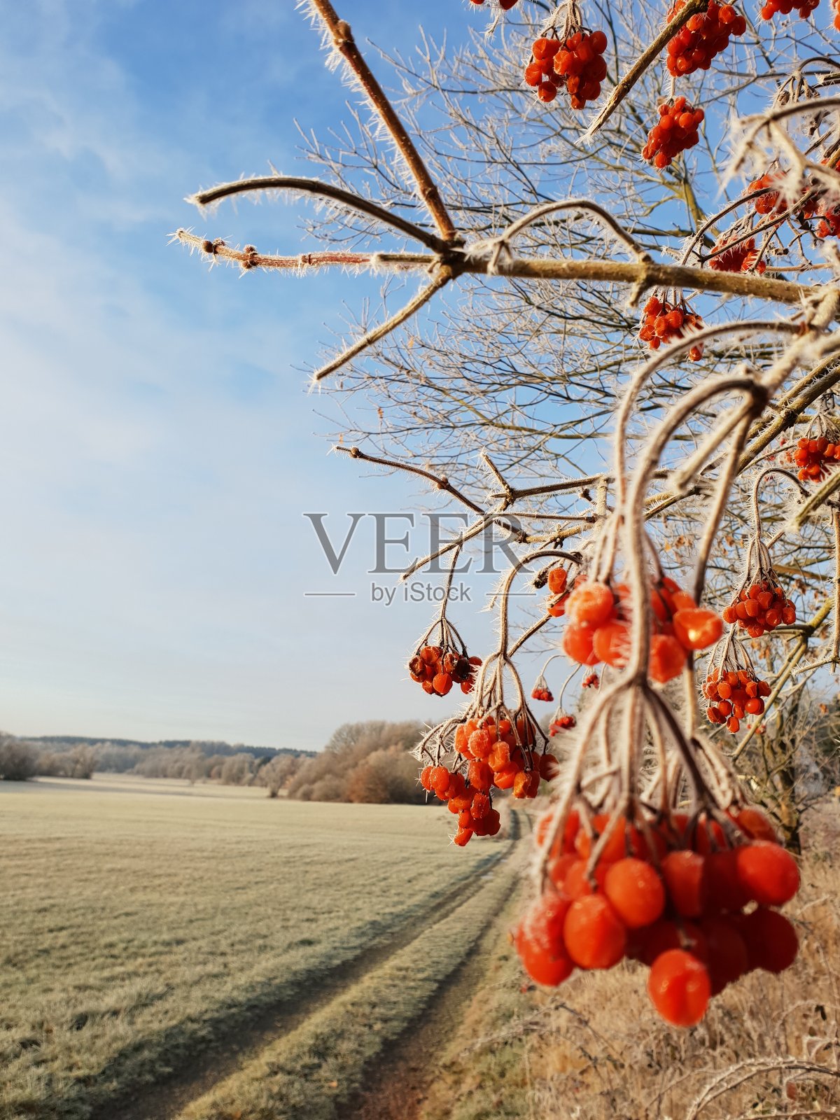 自然照片摄影图片