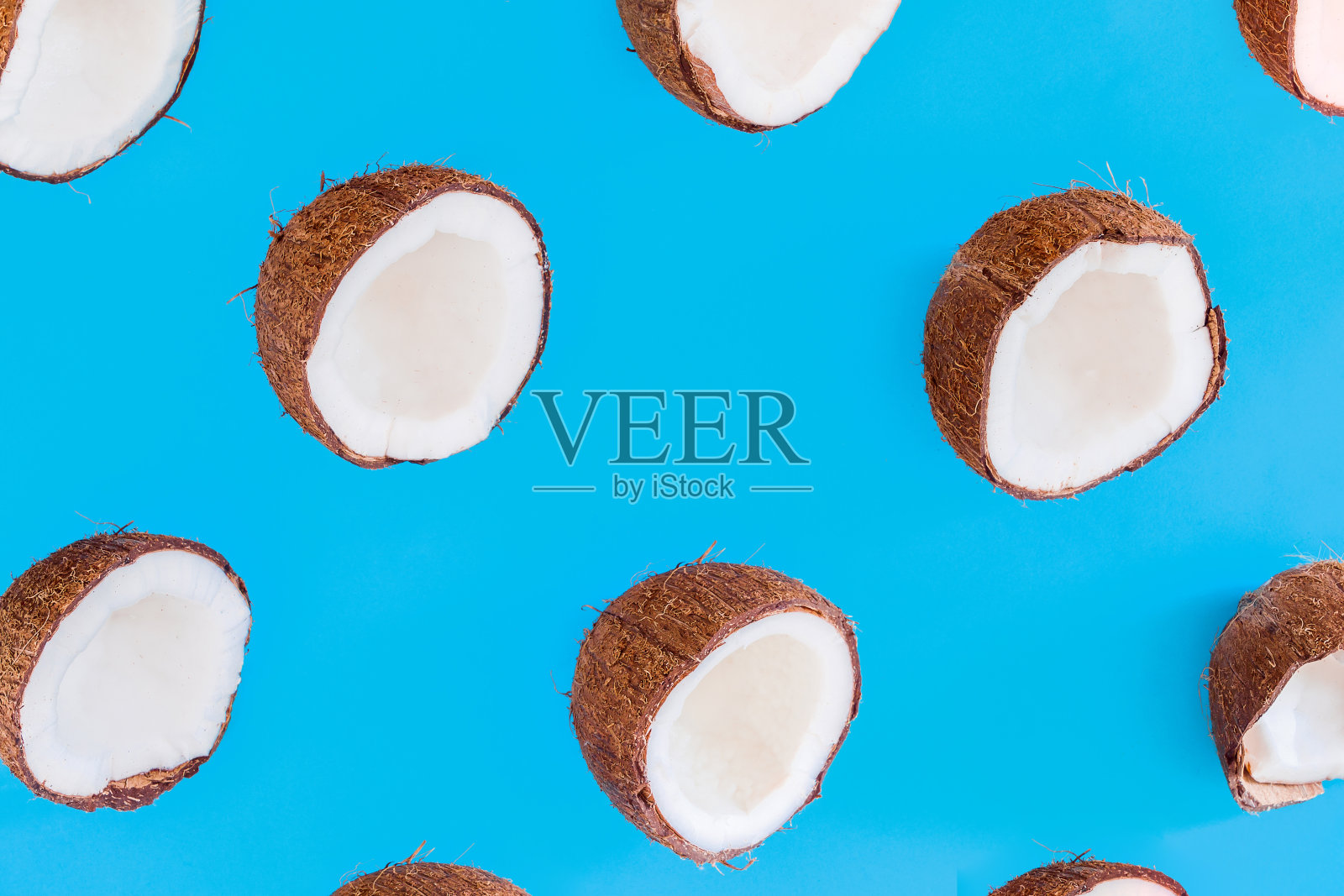 在蓝色背景上孤立的异国椰子照片摄影图片