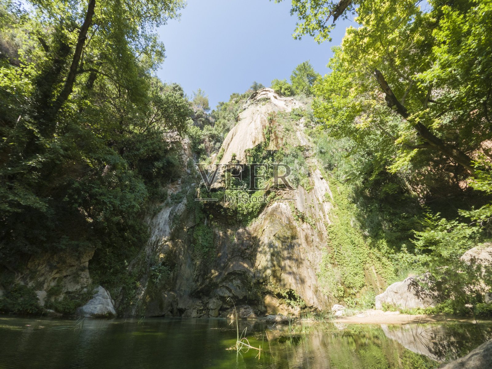 大自然中美丽的森林照片摄影图片