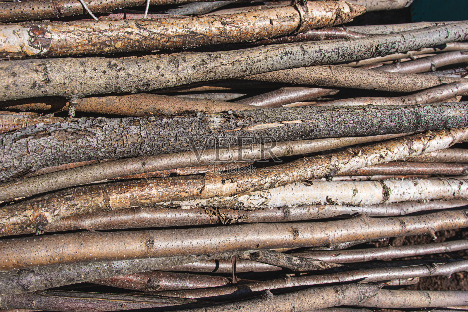 一堆年轻的原木俯视图照片摄影图片