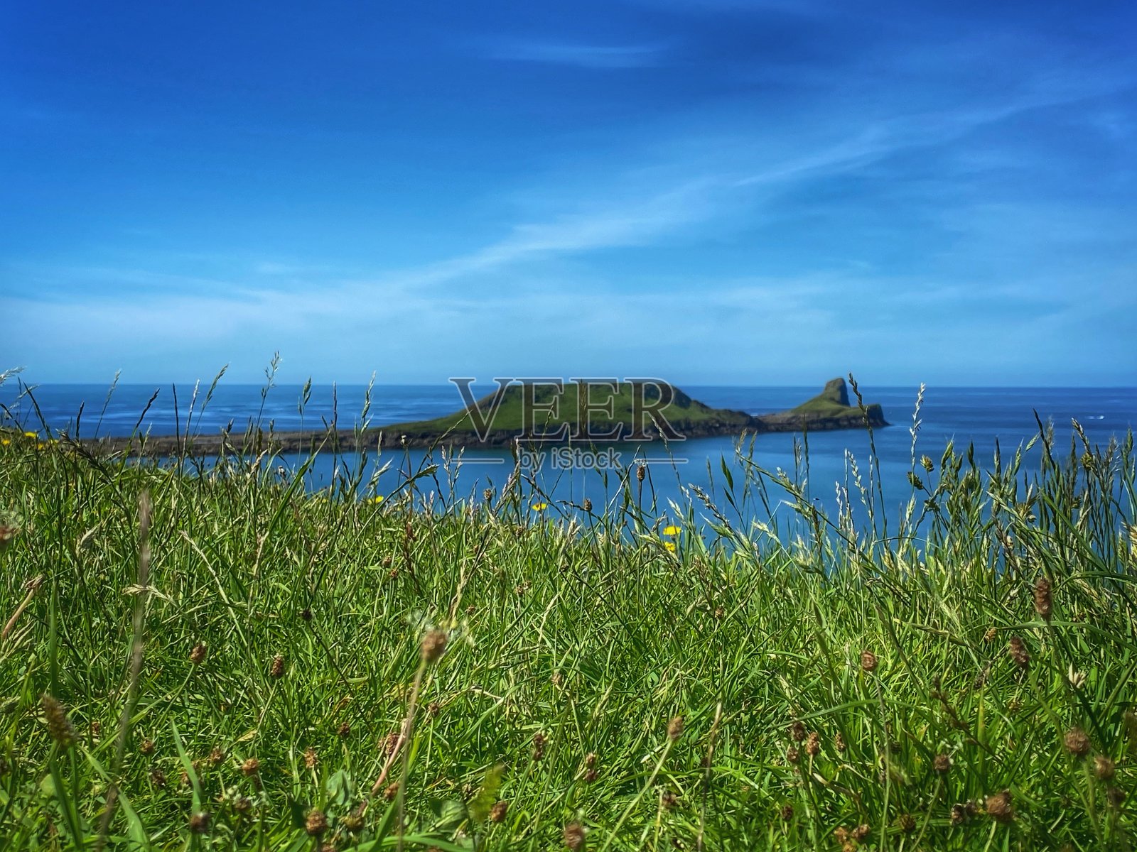 虫的头照片摄影图片