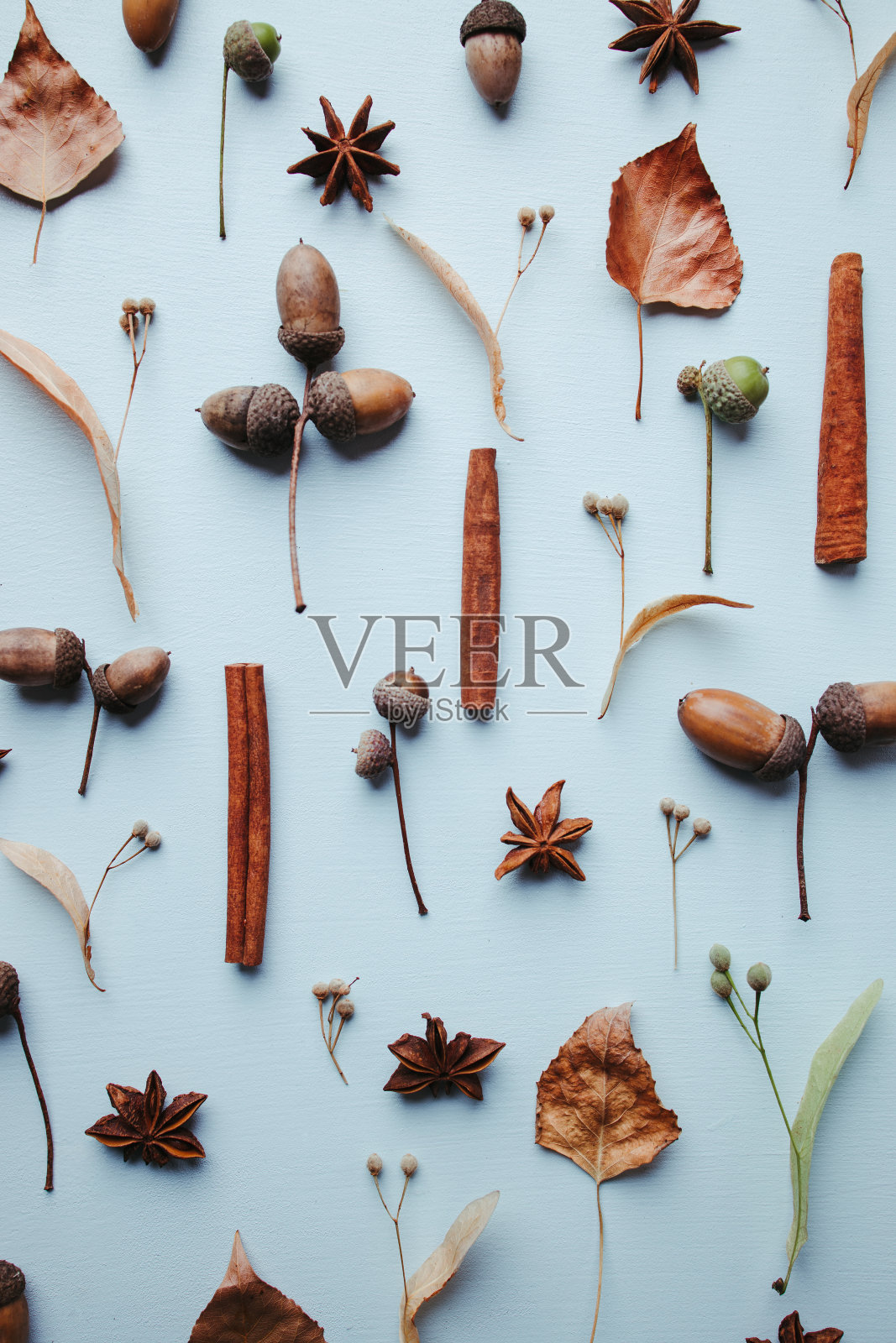 枯叶和橡子的秋天图案照片摄影图片