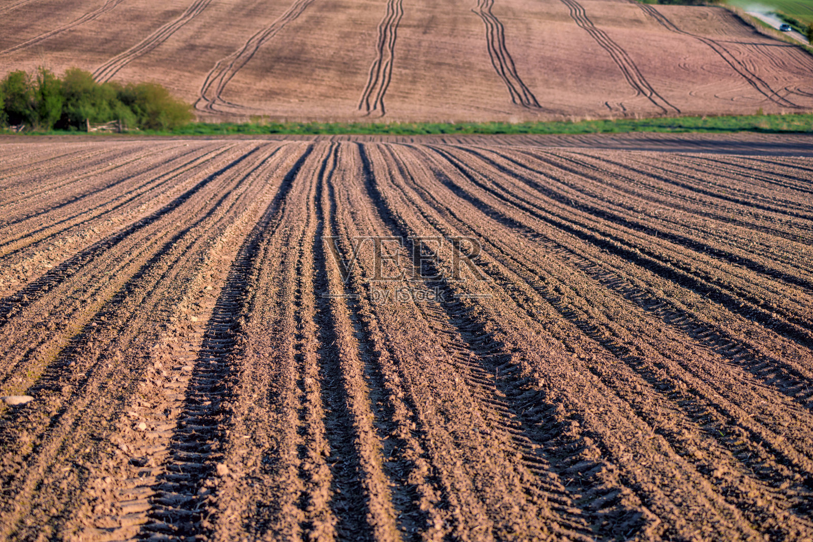 春耕时田里有拖拉机痕迹，农田土壤背景照片摄影图片