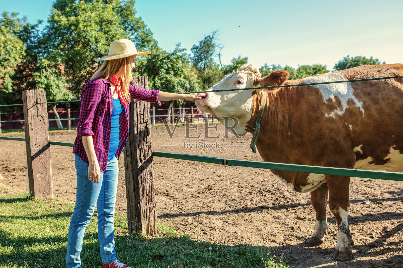 一个农场里的漂亮女人照片摄影图片