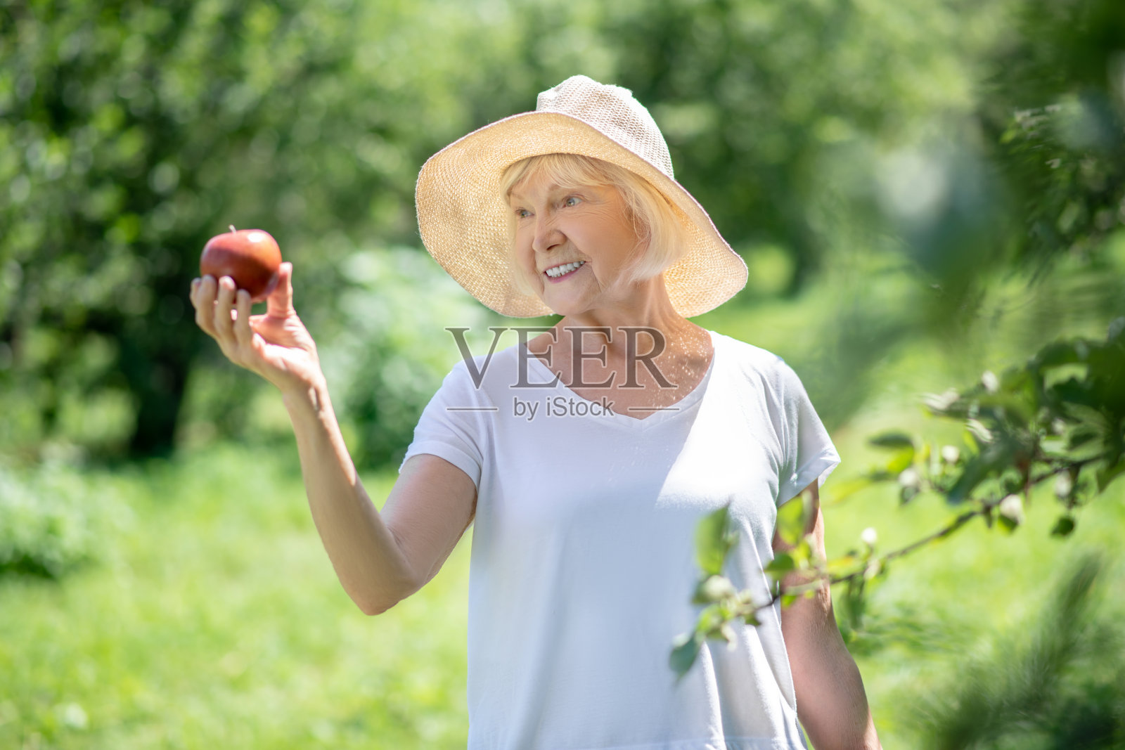 老妇人看着红苹果照片摄影图片