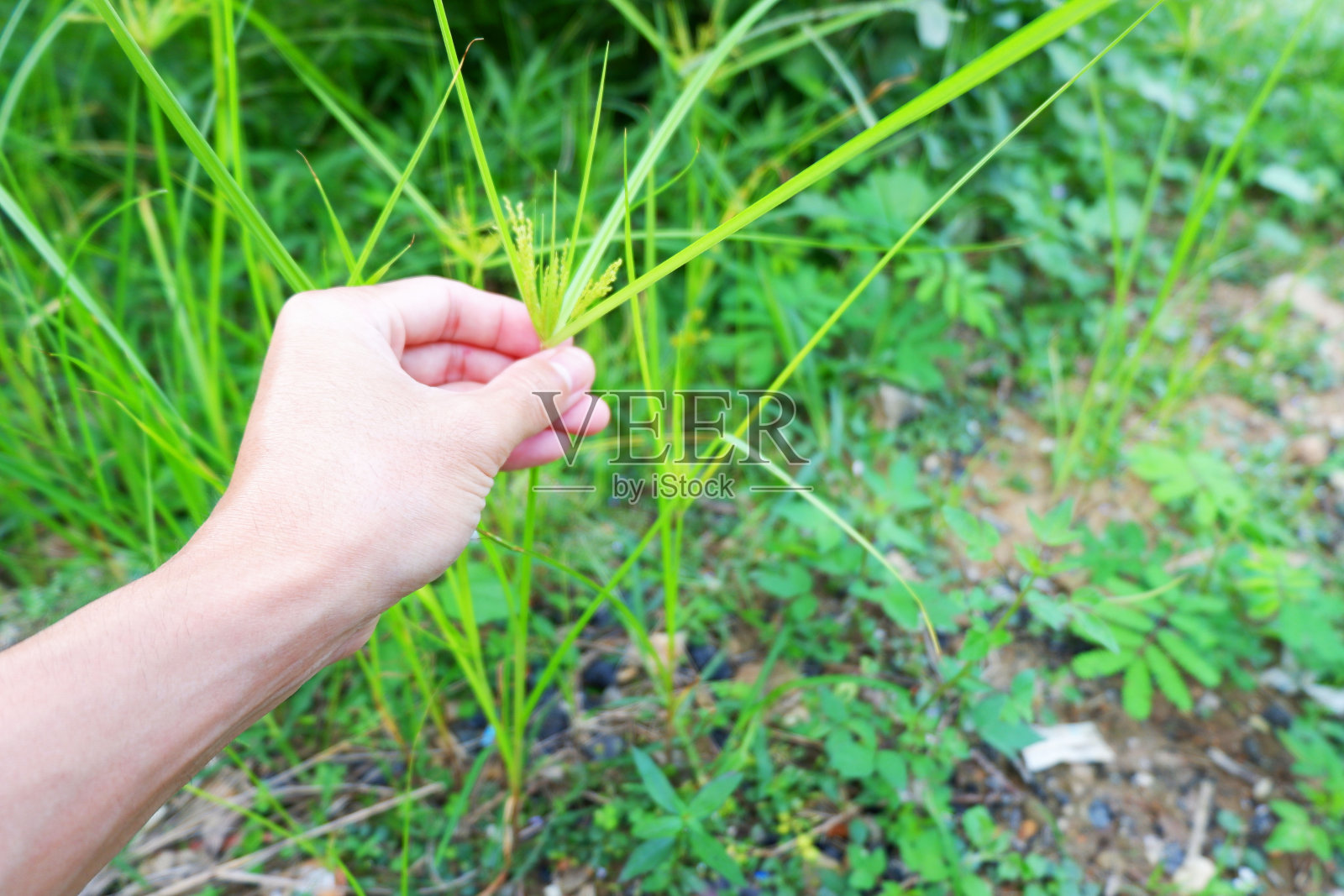关于手势中手部和身体部位的动词照片摄影图片