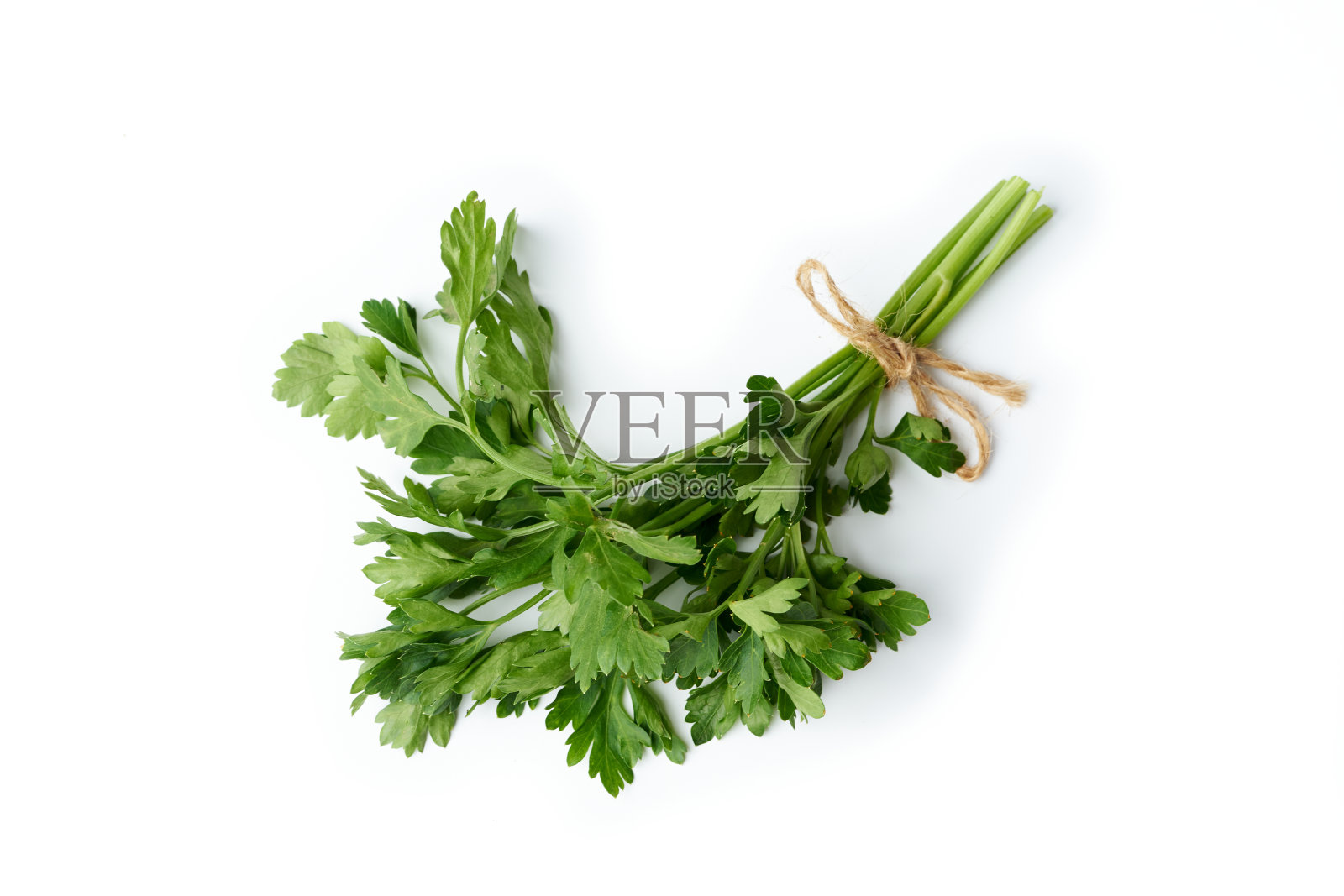 一束新鲜的欧芹孤立在白色的背景上照片摄影图片
