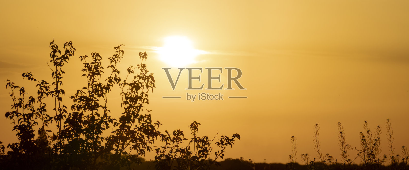 自然背景。照片摄影图片