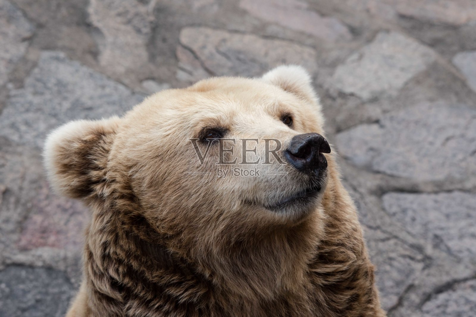 未来的味道照片摄影图片