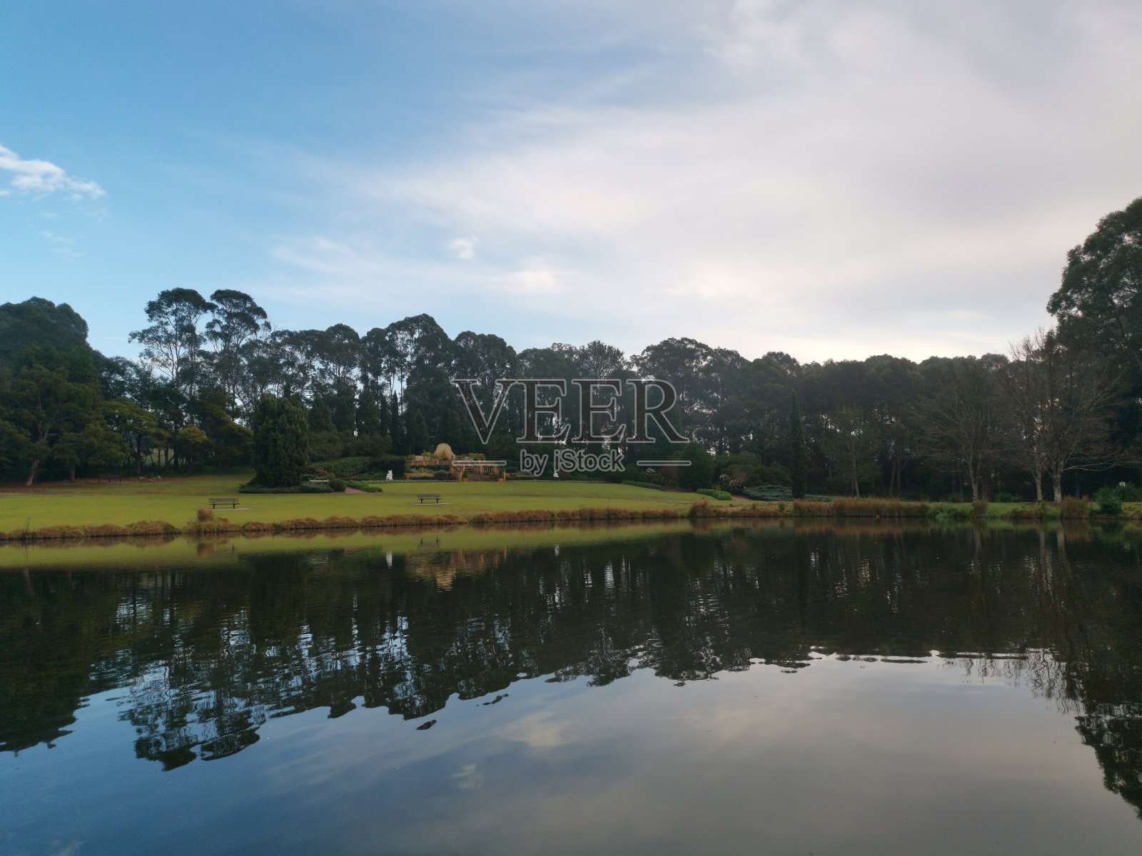 清晨的一个池塘在公园与蓝天的倒影，浮云和树上的水照片摄影图片