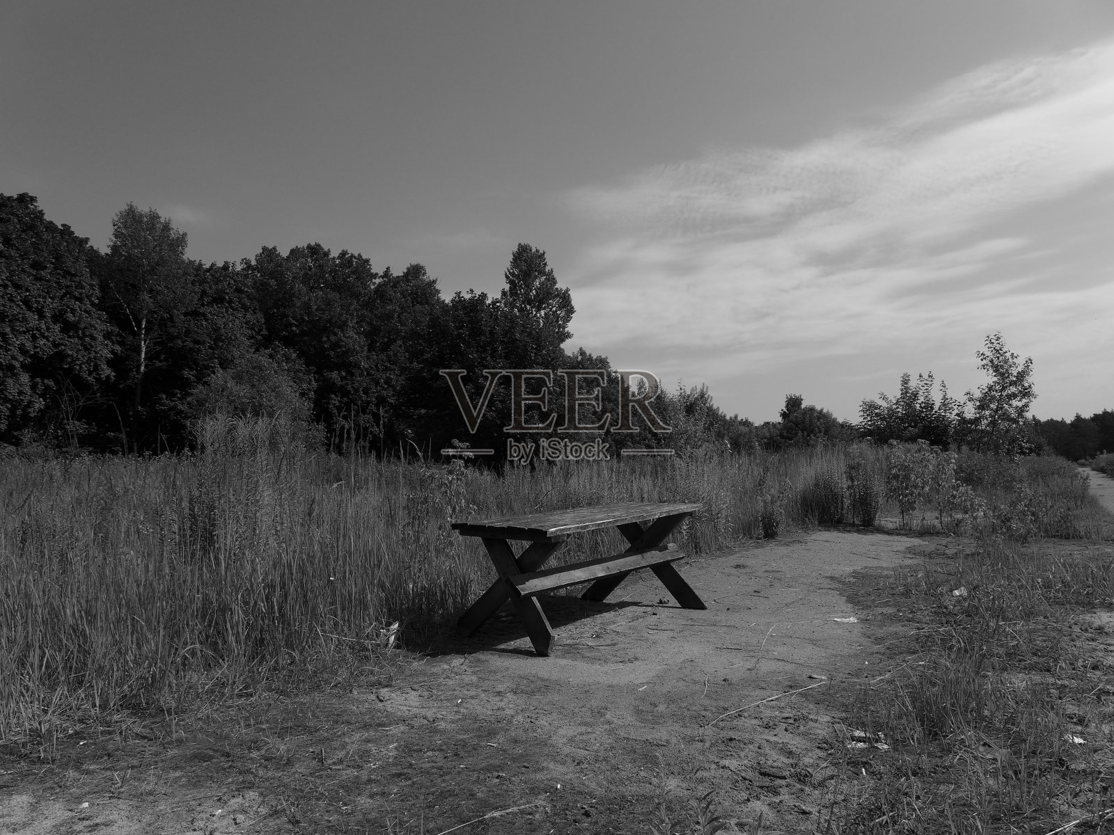 草地上的野餐桌照片摄影图片