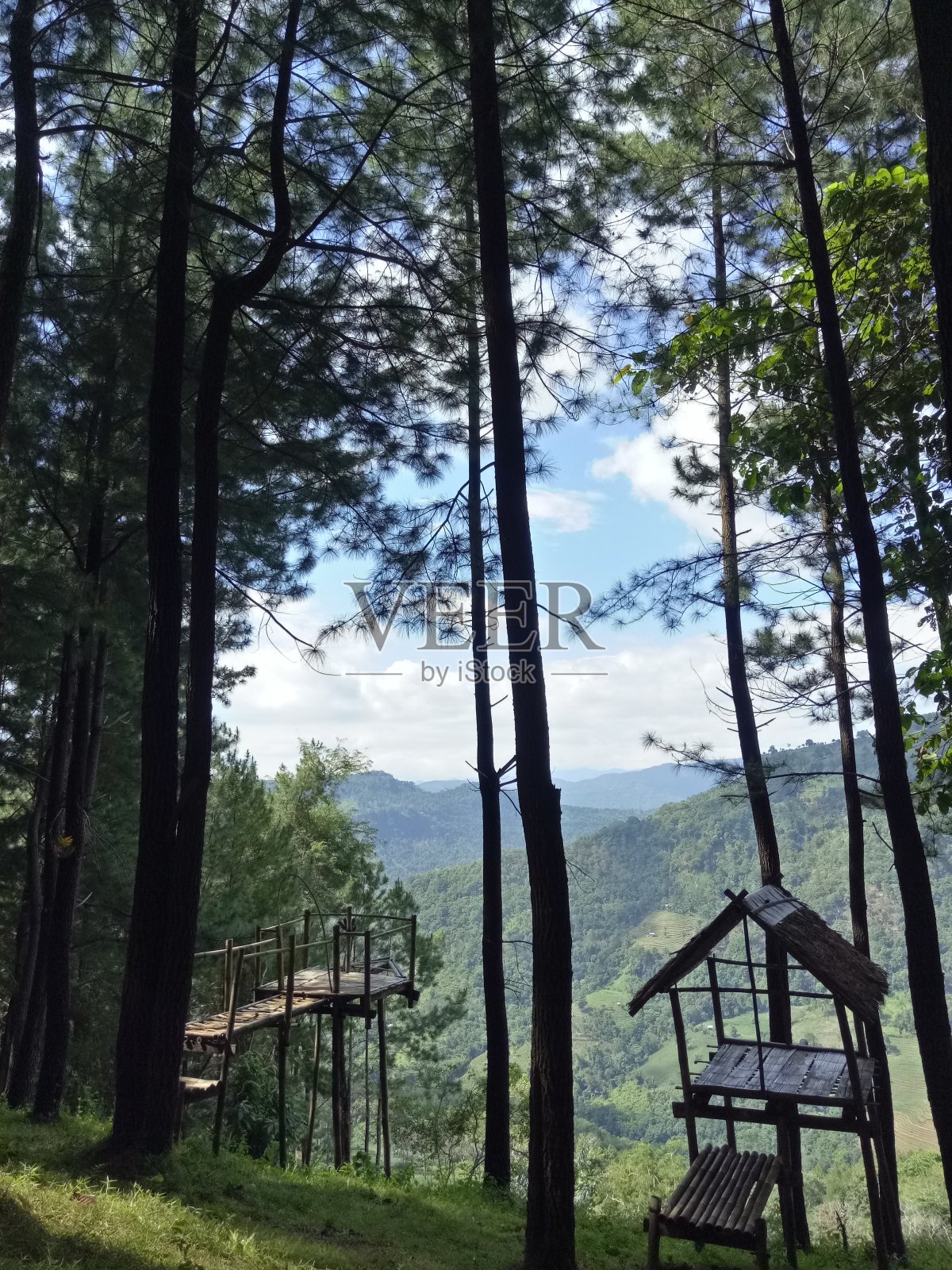 松树山上的大厅照片摄影图片