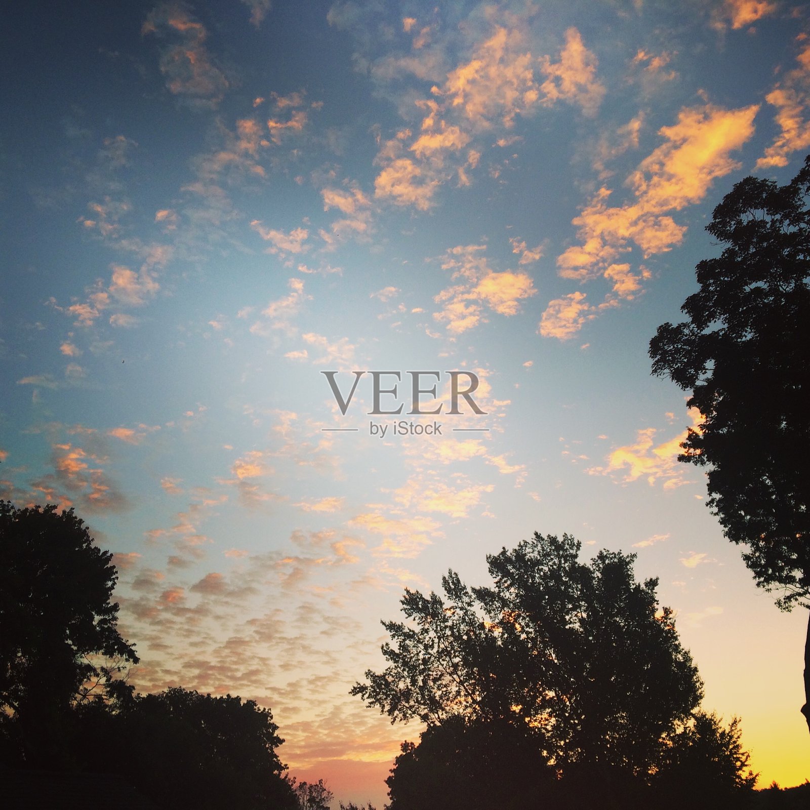 日落2。照片摄影图片