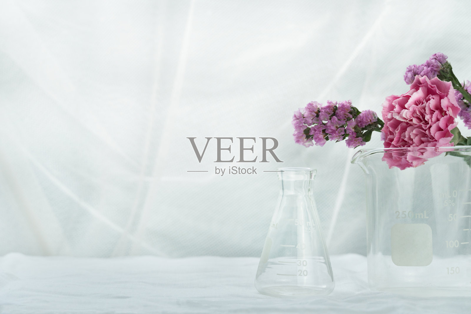 紫粉色自然花朵与科学烧瓶烧杯在白色化妆品实验室背景照片摄影图片