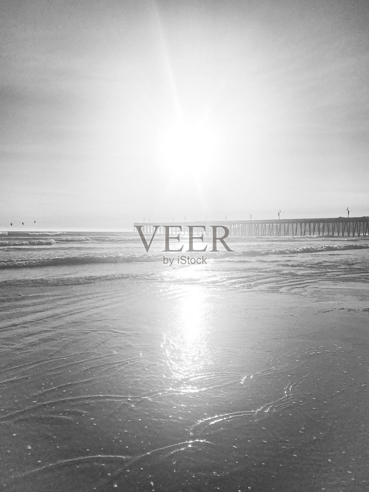 皮斯莫海滩黑白照片摄影图片