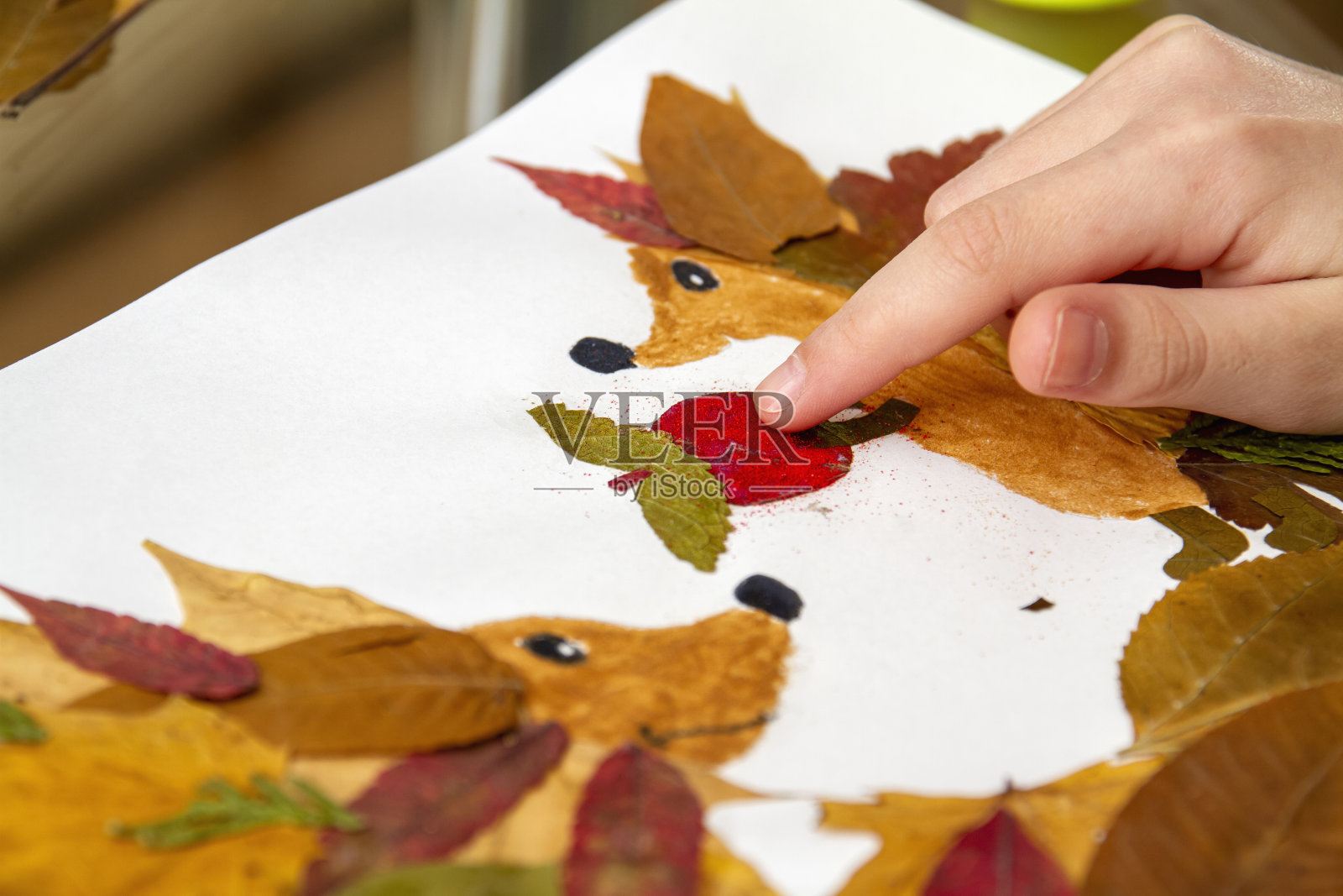 女孩用干树叶做申请。孩子们在秋天的主题上贴花。刺猬和苹果照片摄影图片