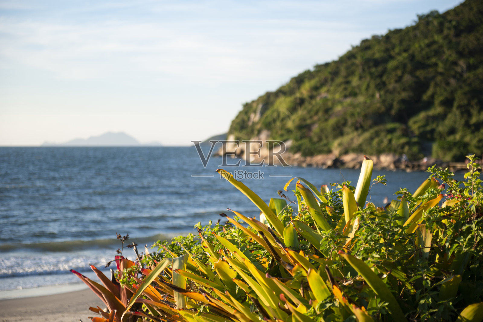 Florianópolis，圣卡塔琳娜-巴西照片摄影图片