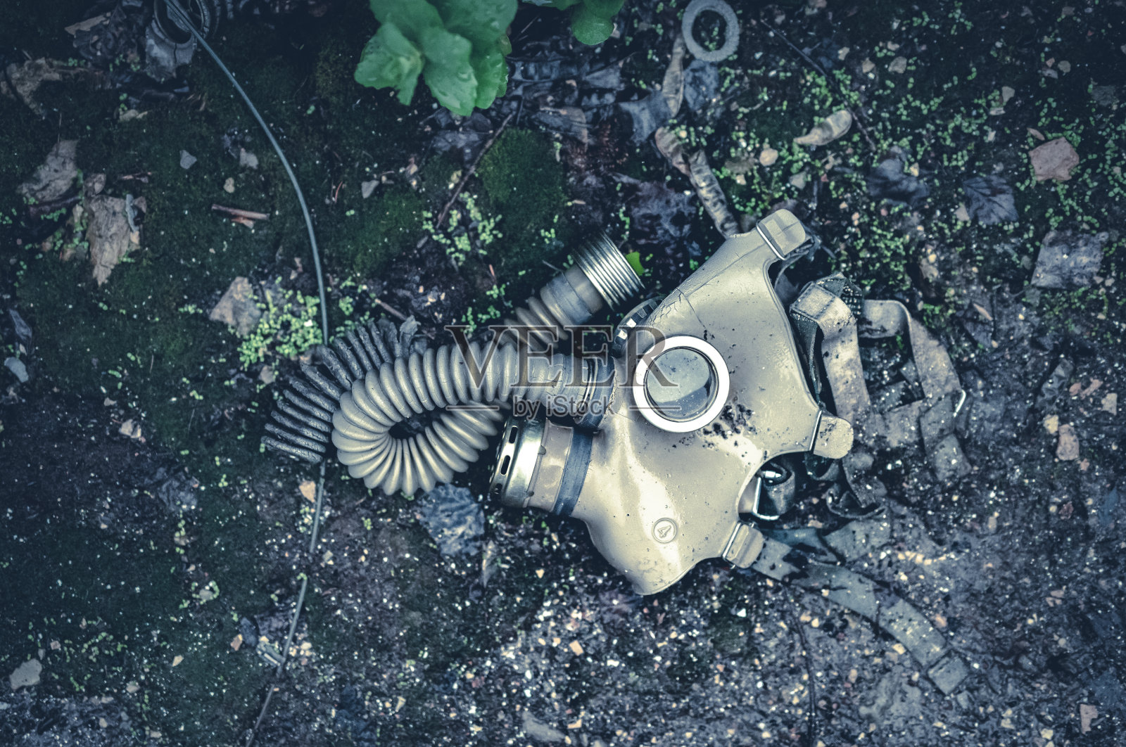 普里皮亚季学校附近的防毒面具照片摄影图片