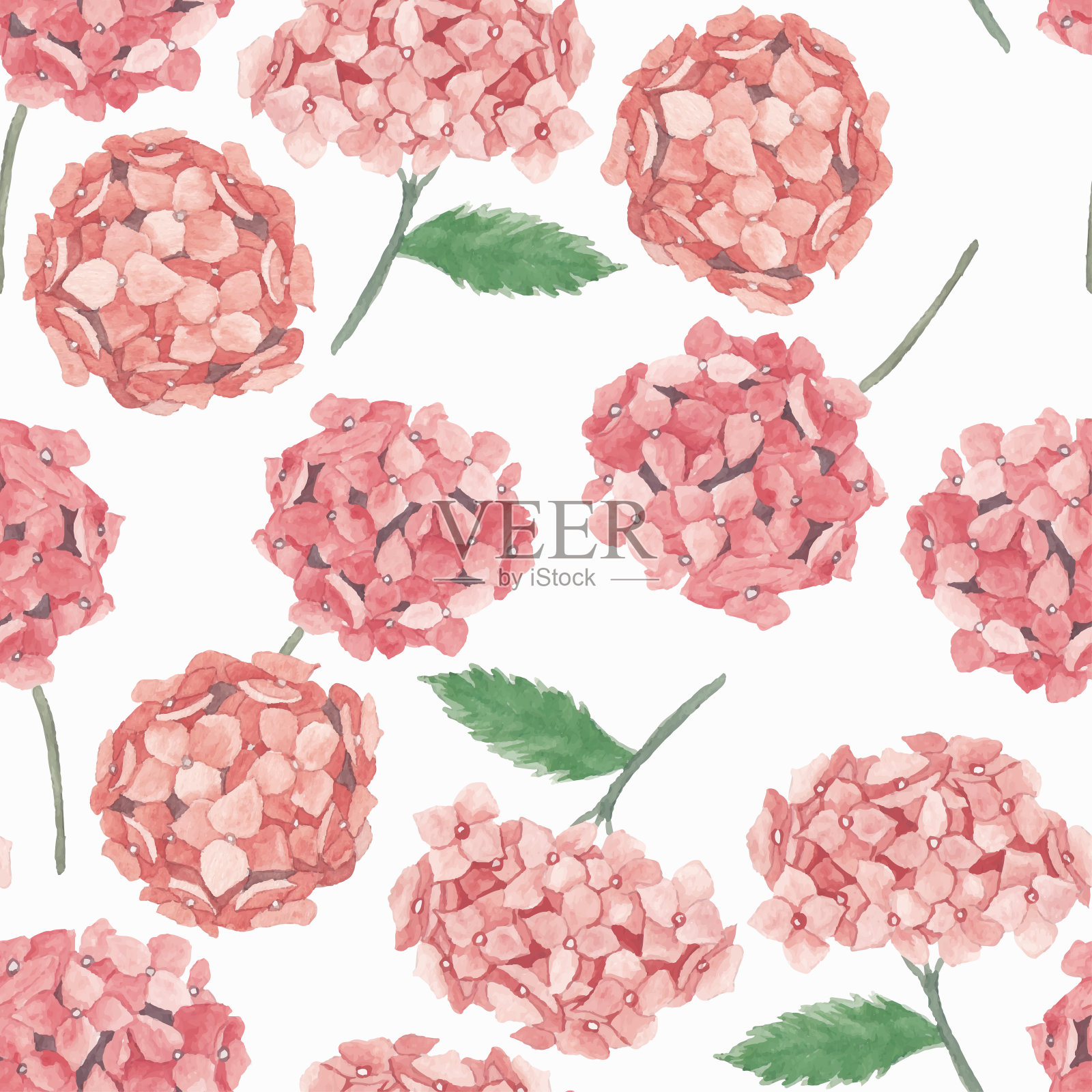 水彩无缝图案与粉红色绣球花插画图片素材