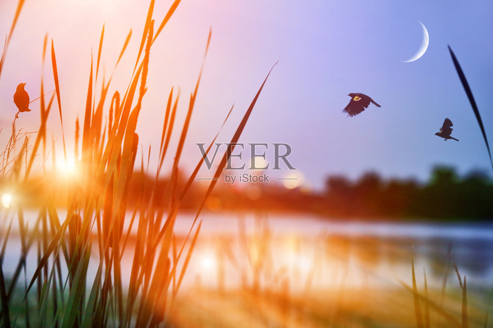 宁静的湖在日落与城市景观的背景照片摄影图片