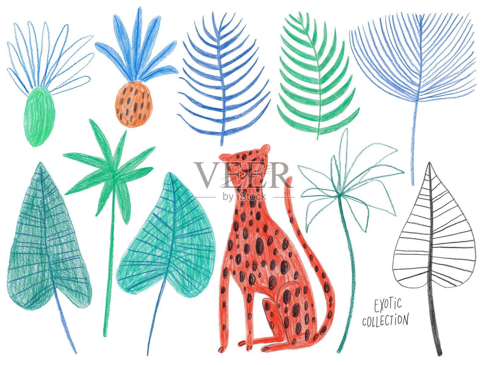 奇异的一组孤立的猎豹和植物。插画图片素材