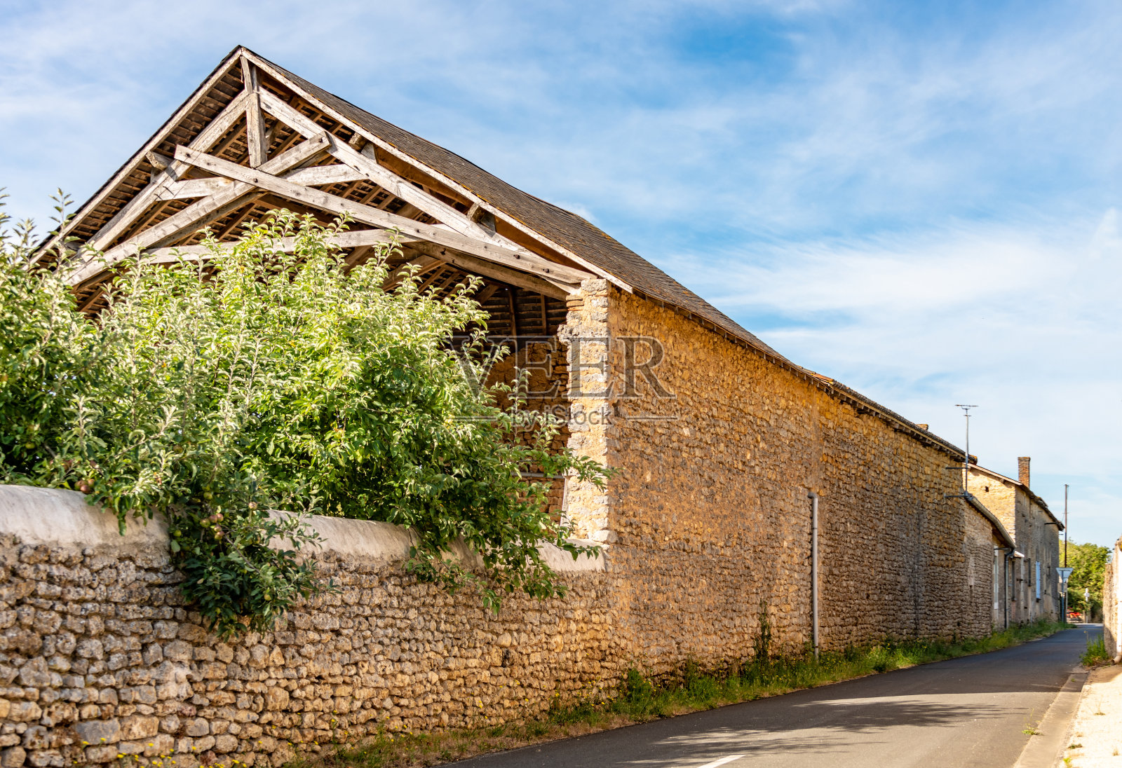 破旧杂草丛生的谷仓照片摄影图片