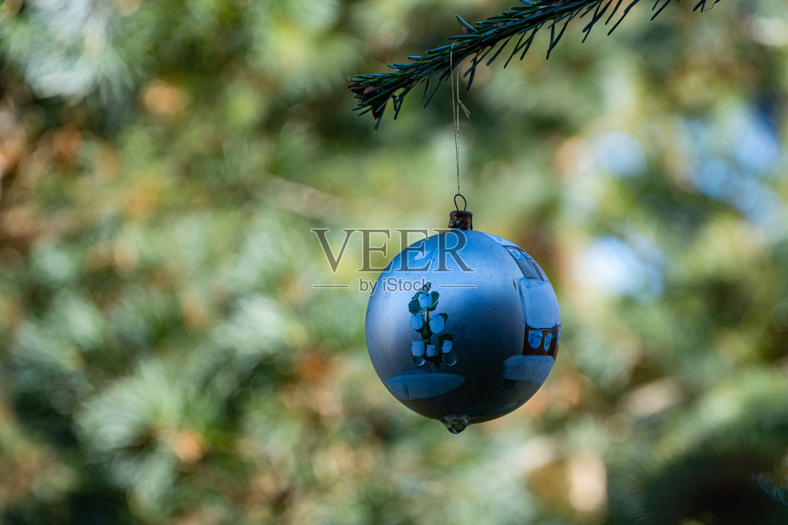 圣诞玩具蓝球挂在圣诞树的树枝上。冬天的童话景观花园。模糊背景选择聚焦。晴朗的一天。这里有放文本的地方。照片摄影图片