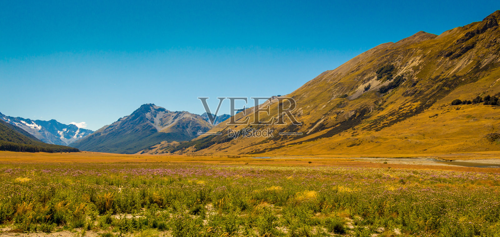 新西兰坎特伯雷阿胡利山谷的一片草地，四周群山环绕照片摄影图片