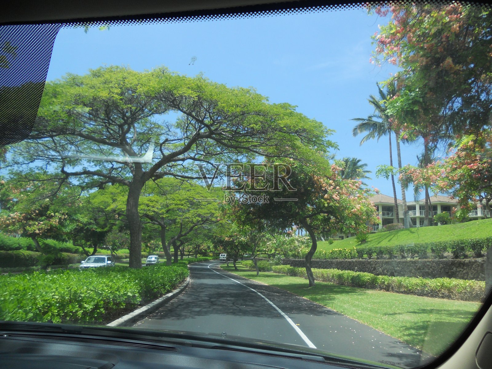夏威夷照片摄影图片