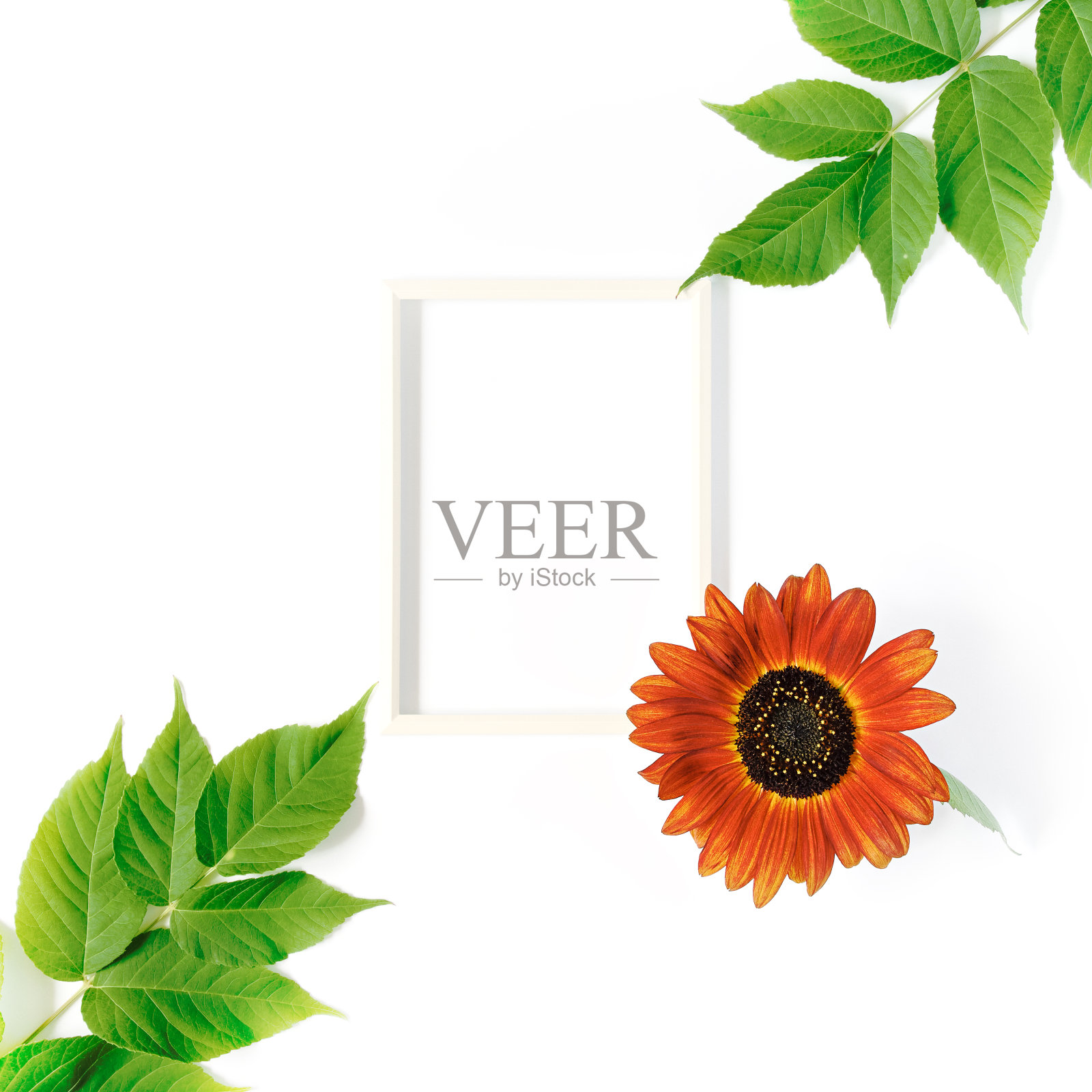 秋天的插花。空框架模板装饰向日葵和绿叶。秋天季节的概念。白色背景。平铺，俯视图，拷贝空间。照片摄影图片