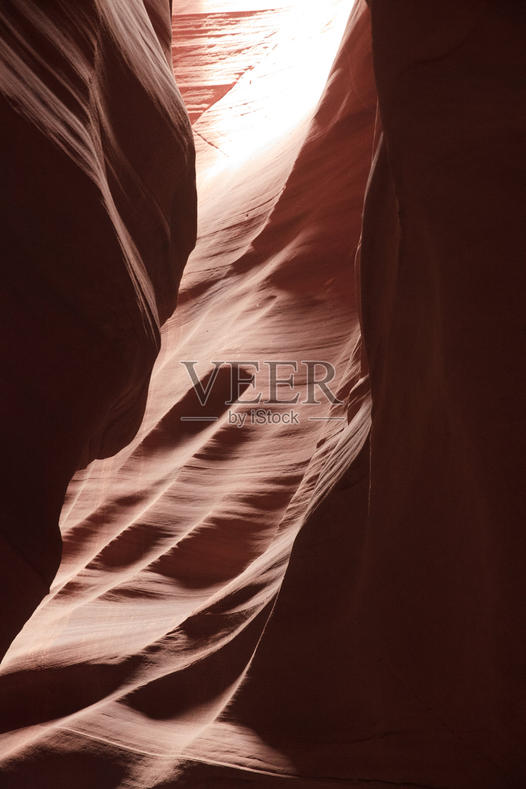 美国照片摄影图片